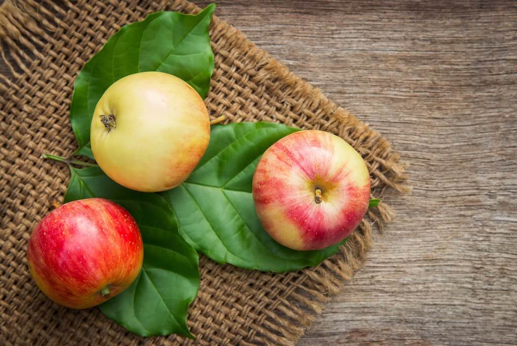 Nutrients of apples