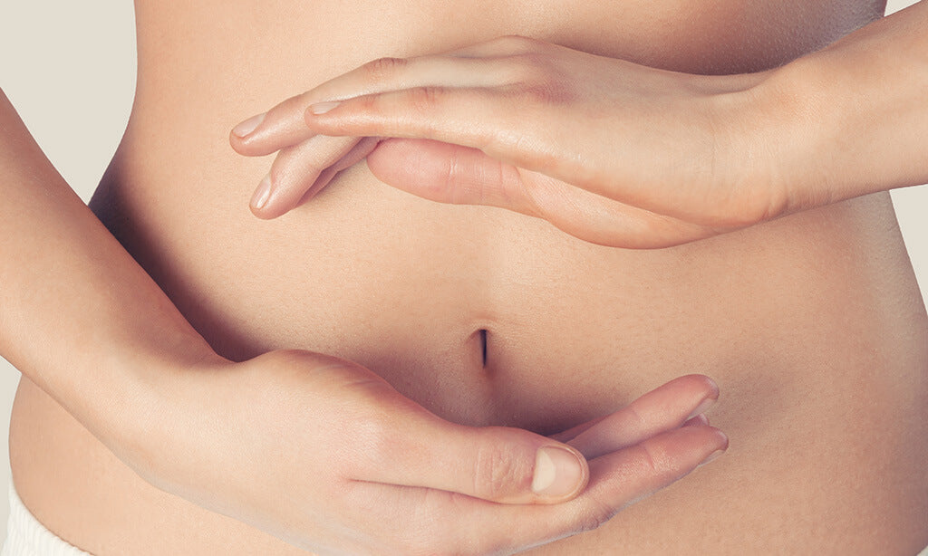 Les bactéries intestinales : comment elles contrôlent votre santé