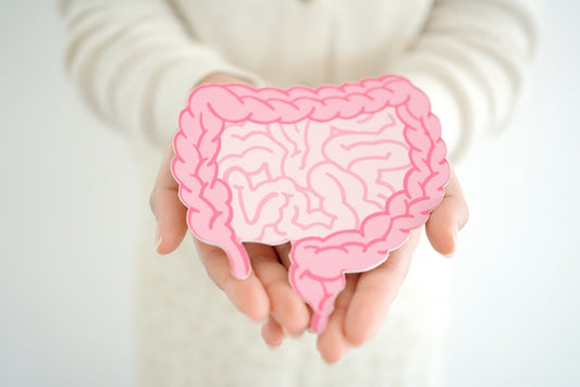 Ursachen für Leaky Gut – Warum wird der Darm durchlässig?