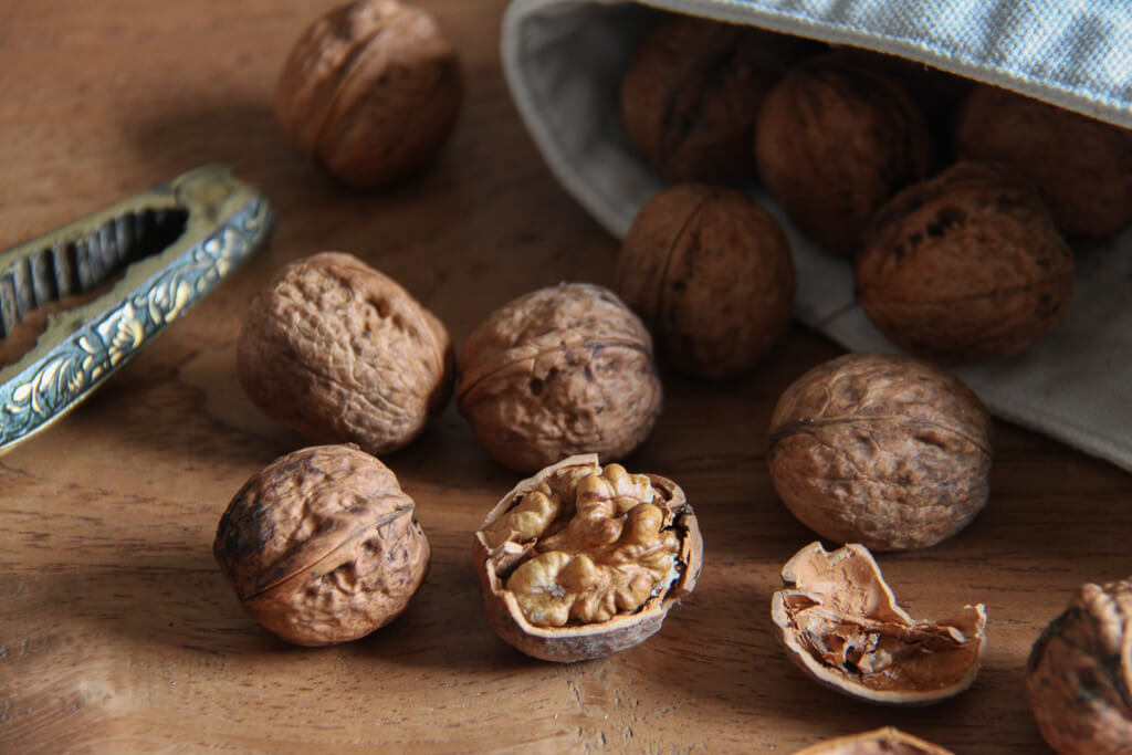Noce - Superfood per il cervello